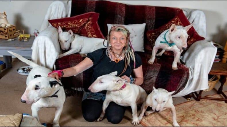 Общество: “Я или собаки”: женщина выбрала жизнь с 30-ю собаками после ультиматума своего мужа