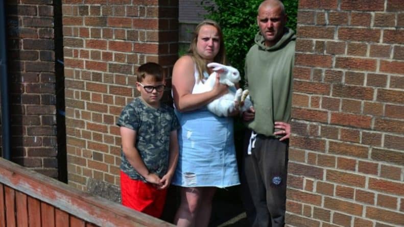 Общество: Семья выиграла пятилетний спор с городским советом за установку ворот, чтобы бродячие псы больше не донимали кролика и папу
