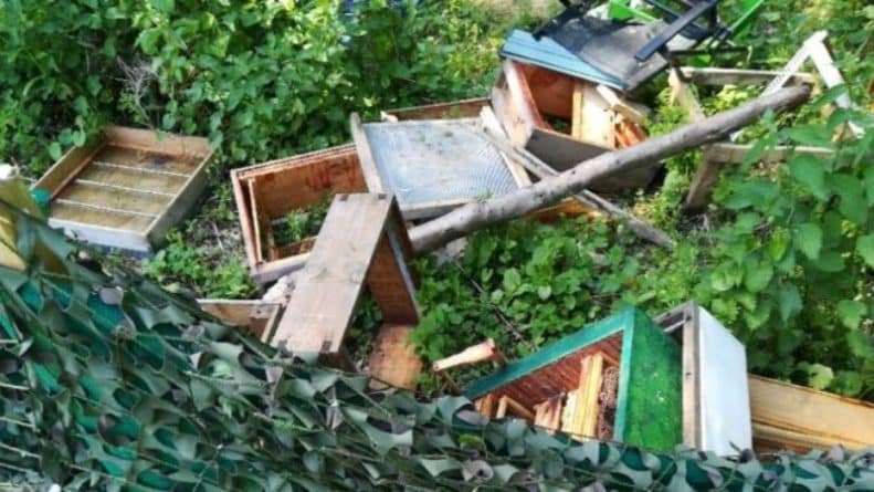 Популярное: Бездушные вандалы уничтожили два улья и убили около 120 тыс. пчел