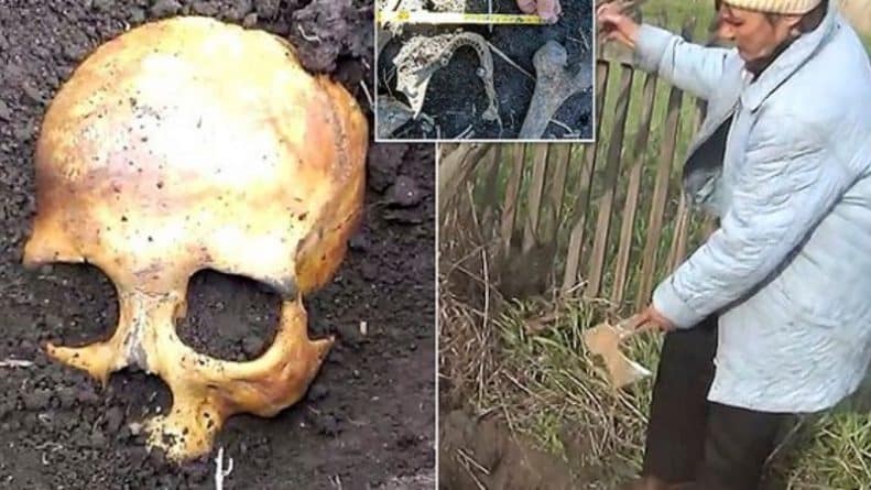В мире: "Не волнуйся, это мой бывший": мужчина сажал картофель и случайно откопал человеческий череп экс-супруга жены