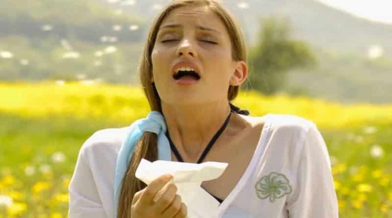 В связи с рекордным уровнем пыльцы в воздухе от аллергии пострадают 20 млн британцев 15062018 Здоровье и красота: В связи с рекордным уровнем пыльцы в воздухе от аллергии пострадают 20 млн британцев