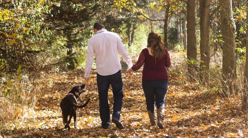 Досуг: Нужна ли собака супружеской паре? Мы приведем вам доказательства того, что собака в семье необходима