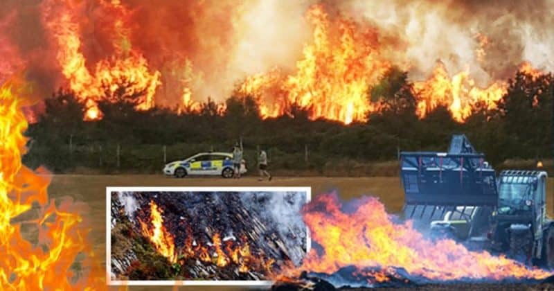 Погода: Британия горит! Лесные пожары охватили всю страну, которая переживает самые жаркие дни в истории