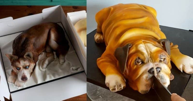 Общество: Кондитера, выпекающей реалистичные торты в форме питомцев, обвинили в жестокости и пропаганде убийства животных