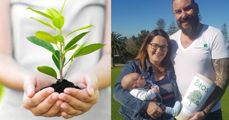 Общество: Теперь молодые мамы могут использовать свою плаценту для посадки дерева, и, на самом деле, это очень мило