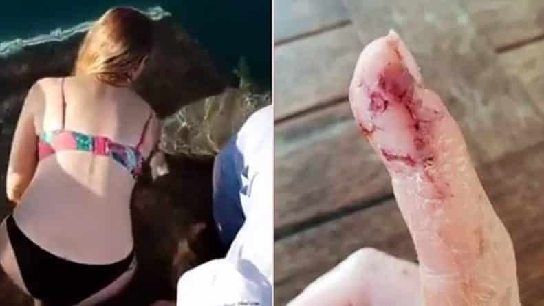 Общество: Акула затянула женщину под воду, пытавшуюся покормить ее с рук (видео)