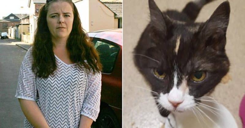 Общество: Tesco предложил семье £250 после того, как водитель супермаркета переехал их кошку на глазах у ребенка