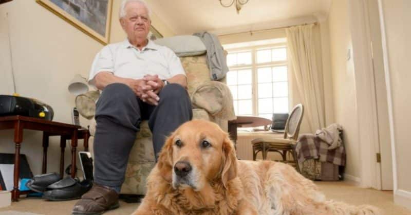 Общество: У слепо-глухого дедушки отберут собаку-поводыря, поскольку она "слишком толстая"
