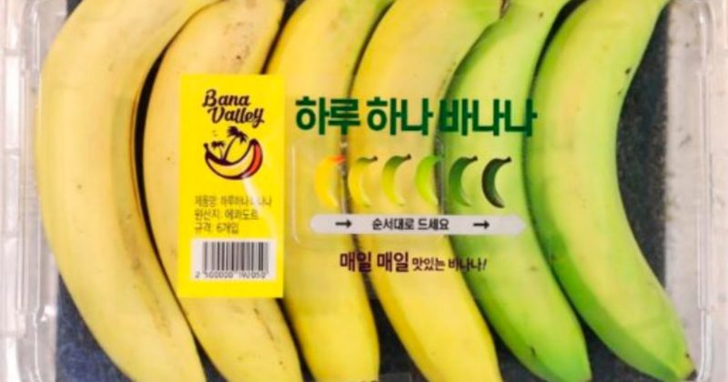 В мире: Спелый банан каждый день: в Южной Корее придумали уникальную упаковку бананов