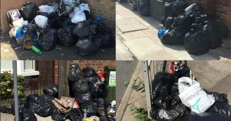Общество: Вот что происходит, когда у 14 тыс. домов Мерсисайда нет мусорных баков