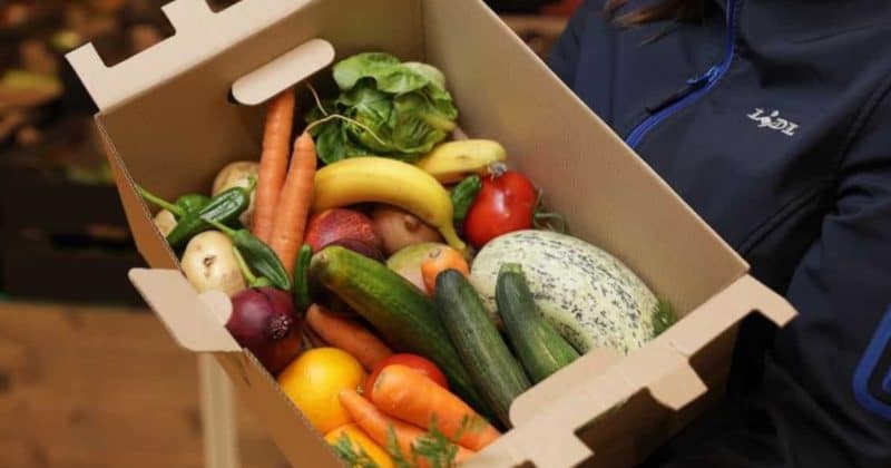 Общество: Lidl запустил в продажу 5 кг коробки с фруктами и овощами всего за £1,50