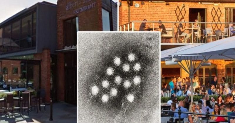 Здоровье и красота: Два ресторана Манчестера оказались связанными со вспышкой гепатита А