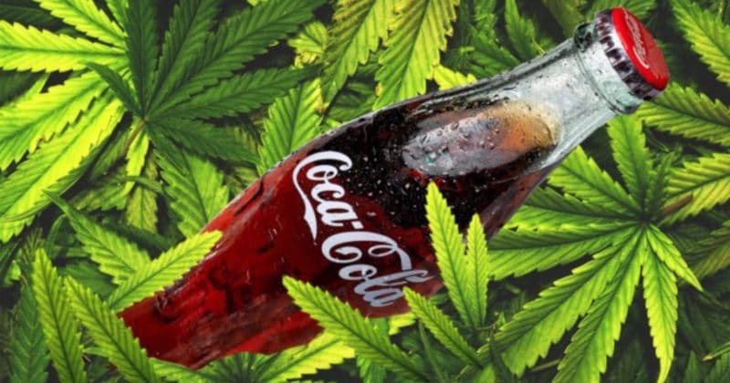 Популярное: Кока-кола намерена выпустить напиток с “травкой”