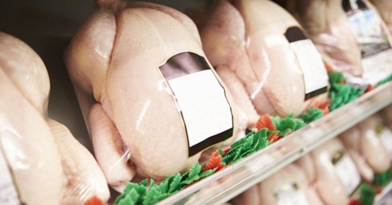 Здоровье и красота: В курице и мясном фарше обнаружили мутированные бактерии кишечной палочки
