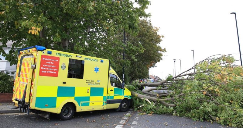 Популярное: Шторм Али в Великобритании: поваленные деревья, двое погибших и проблемы с транспортом