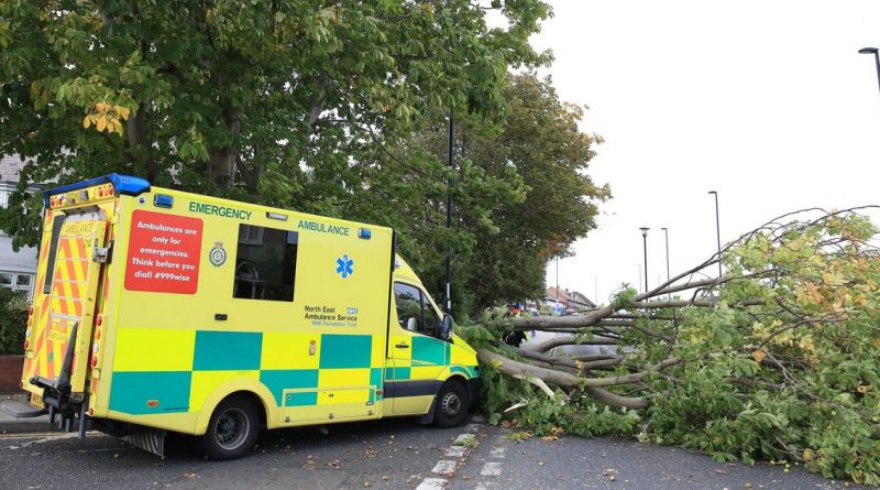 Популярное: Шторм Али в Великобритании: поваленные деревья, двое погибших и проблемы с транспортом