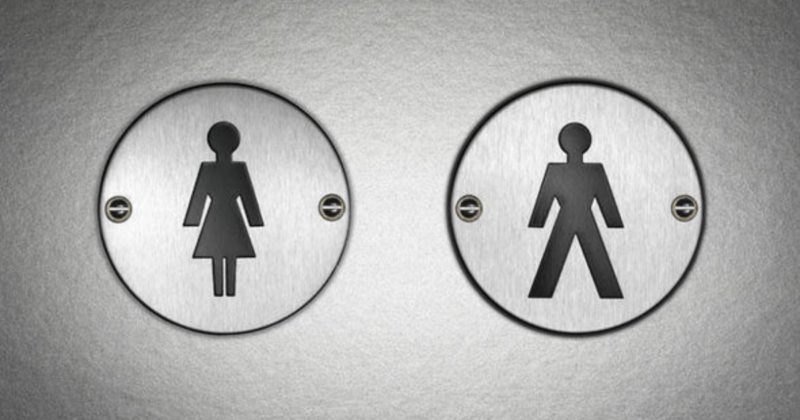 Общество: Британский университет потратит £3,4 млн на гендерно-нейтральные туалеты