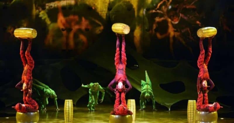 Досуг: В Манчестер едет цирк Cirque Du Soleil: что ожидать и как приобрести билеты