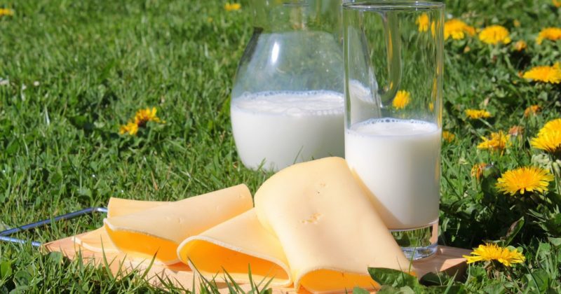 Здоровье и красота: Назло диетологам: ученые доказали, что жирные молочные продукты полезны для здоровья