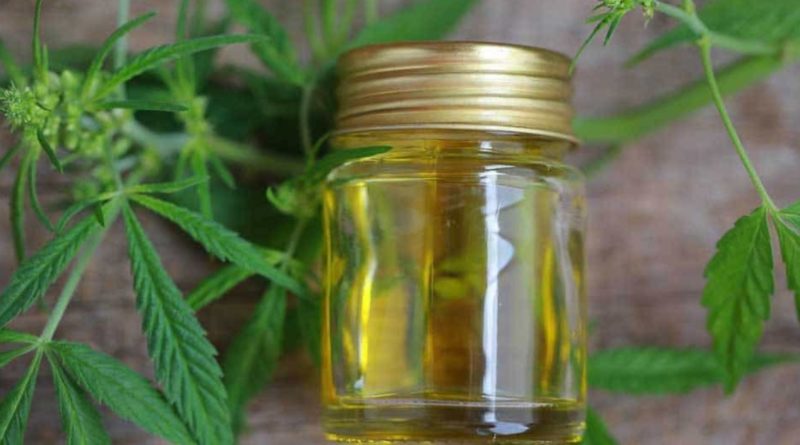 Медицинский каннабис будет доступен по рецепту уже этой осенью в Великобритании 09102018 Здоровье и красота: Медицинский каннабис будет доступен по рецепту уже этой осенью в Великобритании