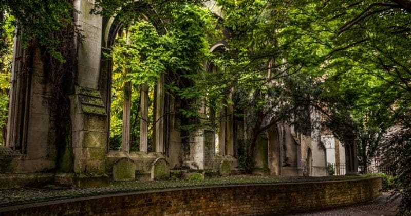 Досуг: 10 секретных парков и садов в центре Лондона, о которых вы никогда не слышали