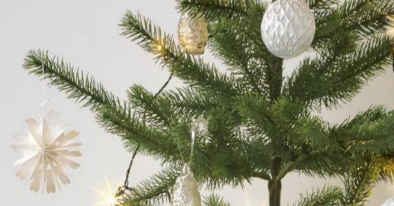 Лайфхаки и советы: IKEA предлагает роскошную пихту Нордмана на Рождество всего за £5
