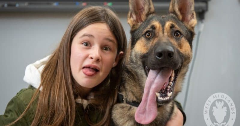 Общество: Храбрая 10-летняя девочка преследовала грабителя, за что была награждена полицейским щенком