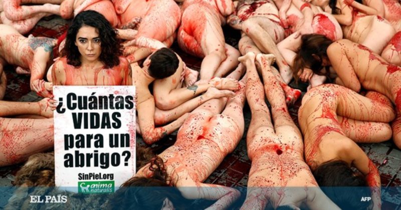 В мире: В Барселоне защитники животных показали на себе, что такое меховая индустрия
