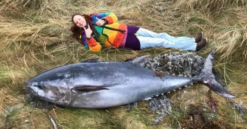 Популярное: На севере Шотландии на берег выбросило двухметрового голубого тунца