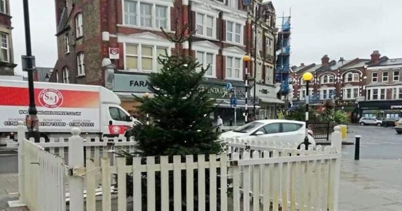 Общество: Лондонцы посмеялись над крошечной елочкой в Масуэлл Хилл