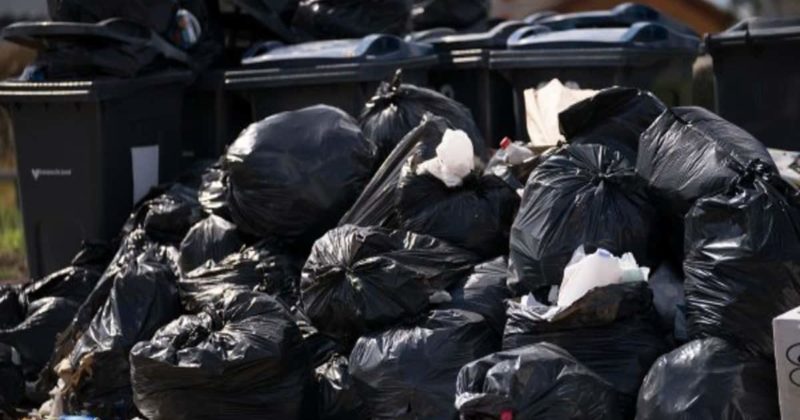 Общество: Забастовка мусорщиков: в Бирмингеме мусор могут не вывозить 2 недели