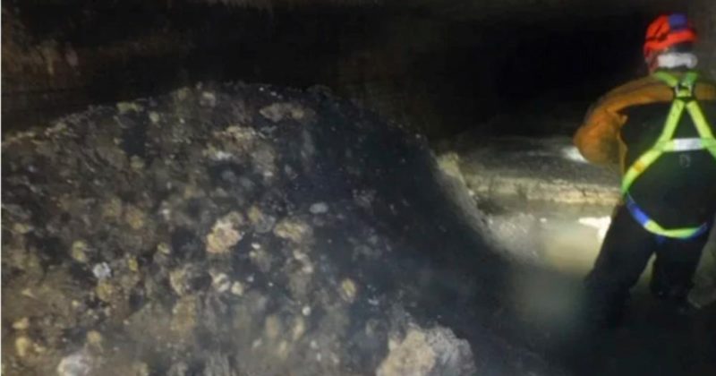 Популярное: Застывший комок канализационных отходов, размером с автобус, обнаружен в Девоне