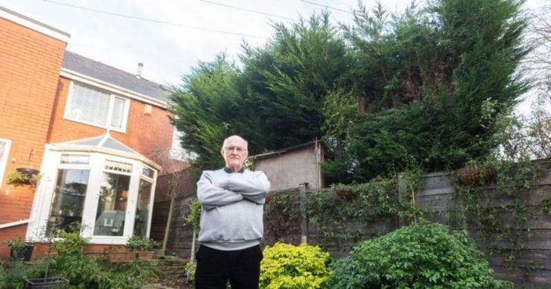 Общество: Битва соседей из-за живой изгороди закончилась штрафом в £2100