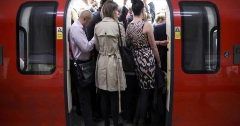 Здоровье и красота: В Лондоне в общественном транспорте запретят рекламу песто и оливкового масла