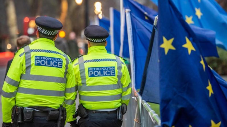 Общество: Полицейские по всей Британии отменили свой отпуск в случае хаоса после Brexit