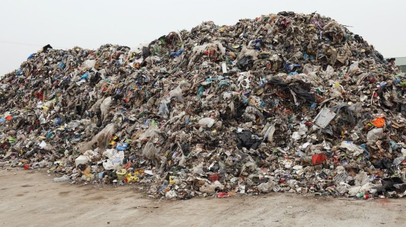 Политика: Brexit без сделки может привести к тоннам разлагающегося мусора в Великобритании