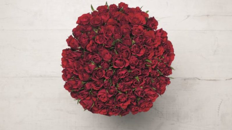 Досуг: Lidl предлагает букет из 100 красных роз на День святого Валентина всего за £25