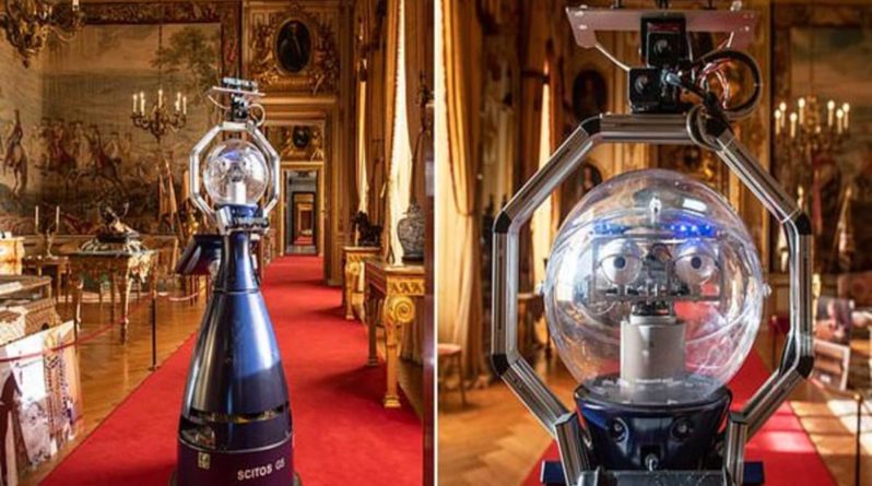 Досуг: Проводить экскурсии, делать селфи и отвечать на вопросы гостей дворца Бленхейм теперь будет робот-гид Бетти