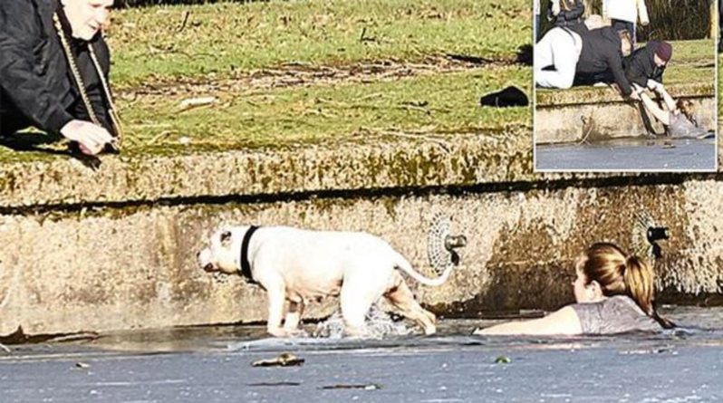 Общество: Девушка рискнула своей жизнью ради спасения упавшей в замерзшее озеро собаки