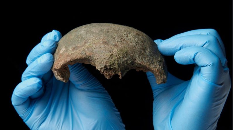 Популярное: На берегу Темзы случайно откопали череп, которому более 5,5 тысячи лет