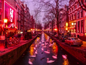 улица красных фонарей в амстердаме