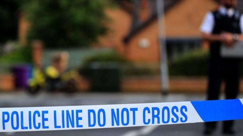 Происшествия: 11-летняя девочка и еще трое человек были обстреляны в лондонском парке