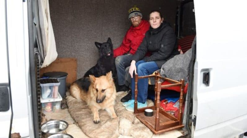 Общество: Семья вынуждена жить в фургоне, поскольку не смогла отказаться от своих собак