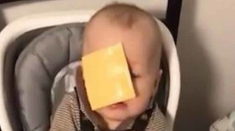 Общество: Родители начали бросать куски сыра в лица своих детей
