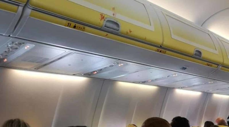 Общество: В самолете Ryanair развязалась драка, когда 2 пассажира поссорились из-за босоногой женщины