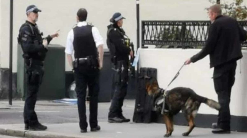 Общество: Вооруженные офицеры перекрыли район и ведут переговоры с мужчиной, угрожающим убийством жителям Аддискомбе в Лондоне
