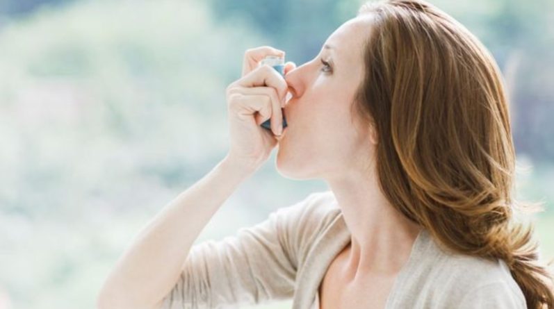 Здоровье и красота: Пыльцевая бомба: астматиков предупреждают о повышенной опасности