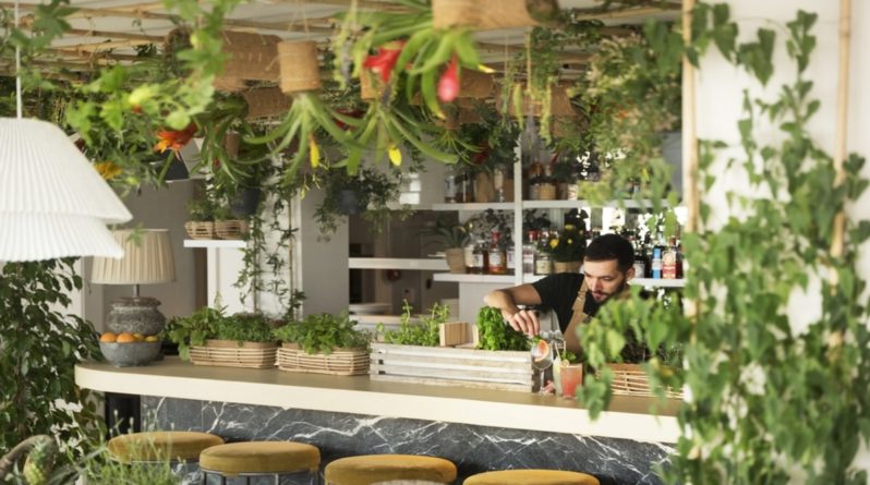 Досуг: Внутри Garden Room – увитого зеленью ресторана и бара на крыше