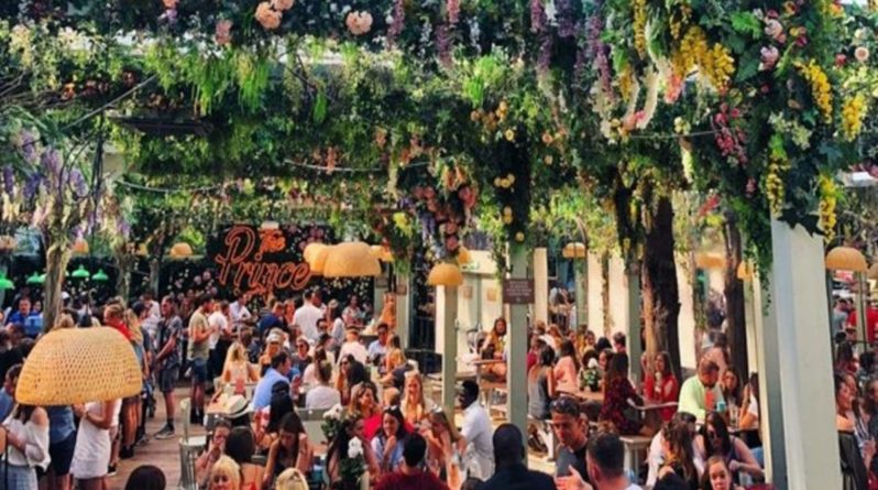 Досуг: The Prince – самый большой пивной сад в Лондоне возвращается в обновленном летнем образе