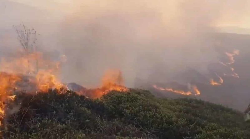 Общество: Пожарные сражаются с 2 ужасными пожарами в Илкли Мур, охватившими 50 акров земли